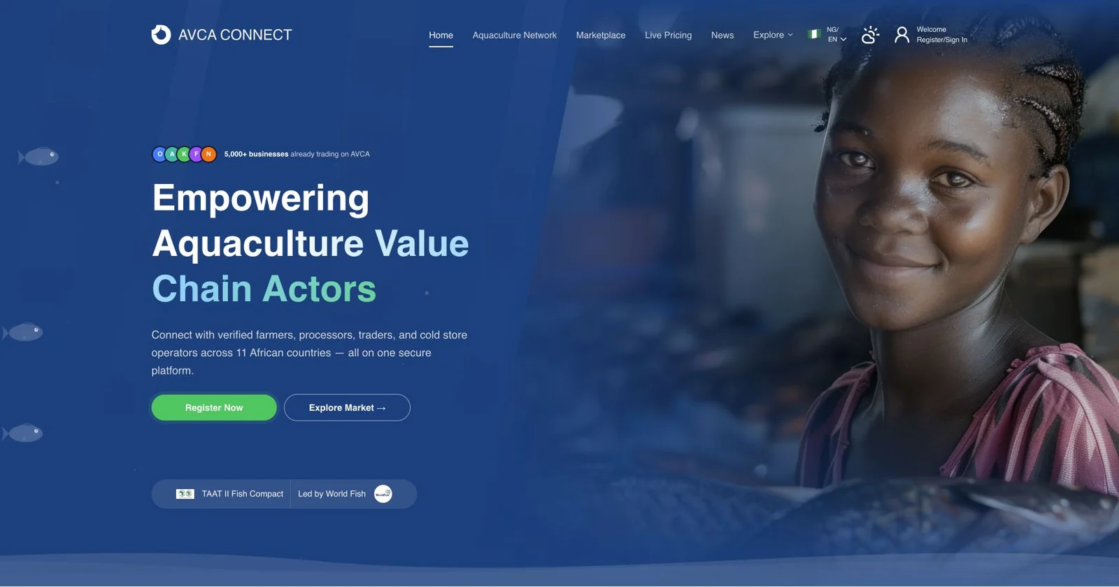 AVCA Connect website screenshot